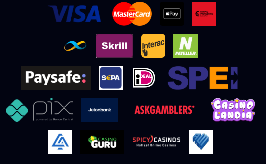 Płatności 1755006090412 Płatności 1755006090412